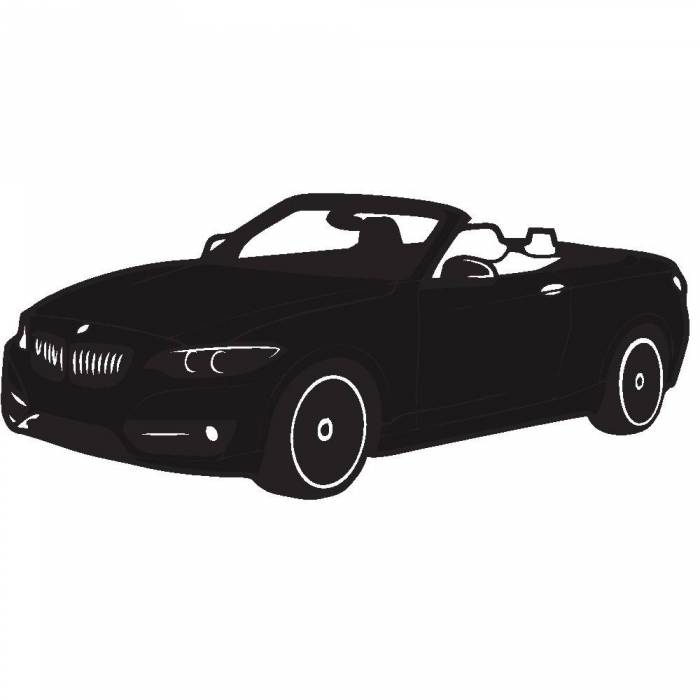 SW900 Matte Films