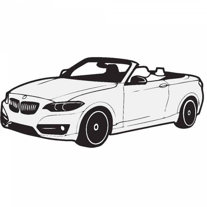 SW900 Matte Films