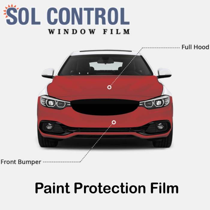 Sun Control Paint Protection Film